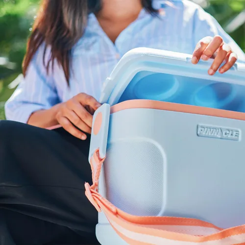 Vista 8 de Pinnacle 8.5Qt Mini Cooler – 14 x 7.6 x 10.6In Ice Box with Smart Divider, Locking Lid, Adjustable Shoulder Strap – Insulated Picnic Basket Beach
