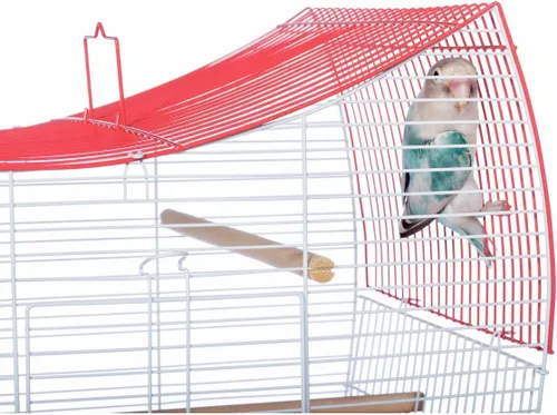 Vista 6 de Prevue Pet Products South Beach Wave Top - Jaula para pájaros, verde lima (SP50081)