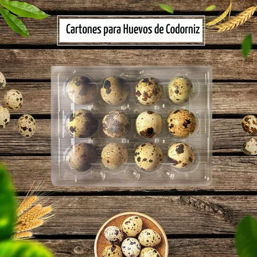 Vista 7 de 50 cajas de huevos de codorniz, 12 rejillas de almacenamiento de huevos pequeños, bandejas de cartón a granel para huevos pequeños, codorniz