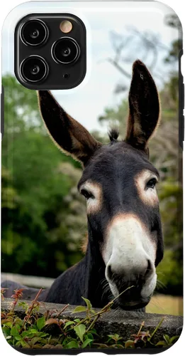Vista 29 de Funda Donkey para iPhone 17