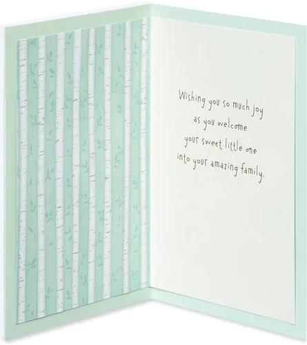 Vista 2 de American Greetings Nueva tarjeta de bebé (tu increíble familia)