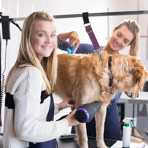 Vista 6 de Bucles ajustables de nylon para aseo de mascotas y perros, soga de sujeción para mesa de aseo, accesorios de extensión de brazo de mesa, correas