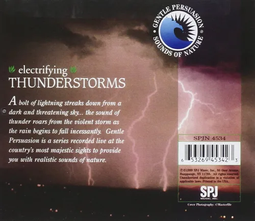 Vista 2 de Electrifying Thunderstorms