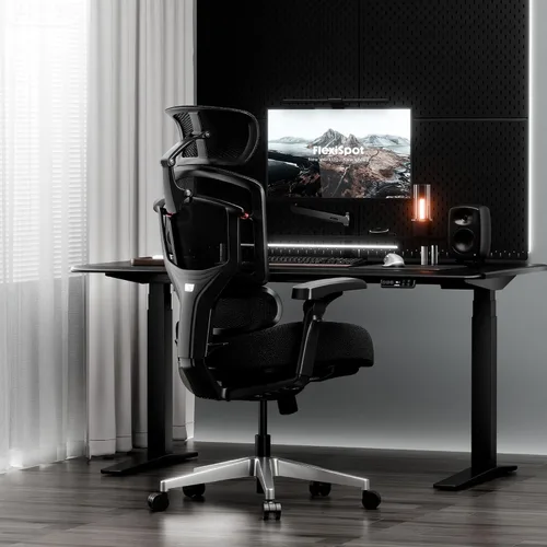 Vista 9 de FLEXISPOT ErgoX-Pro - Silla de oficina ergonómica prémium color obsidiana