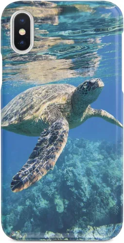 Vista 11 de Inspired Cases - Compatible con iPhone 8 Plus - Funda protectora con textura 3D para Apple iPhone 8 Plus - Tortuga marina submarina