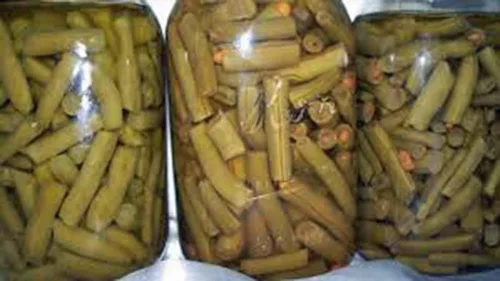 Vista 3 de Frijol, arbusto de cosecha superior, reliquia, 100 semillas, gran sabor fresco o cocido