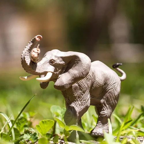 Vista 5 de Safari Ltd. Figura de elefante africano, figura detallada de plástico de 6.25 pulgadas, juguete educativo para niños, niñas y niños a partir de 3