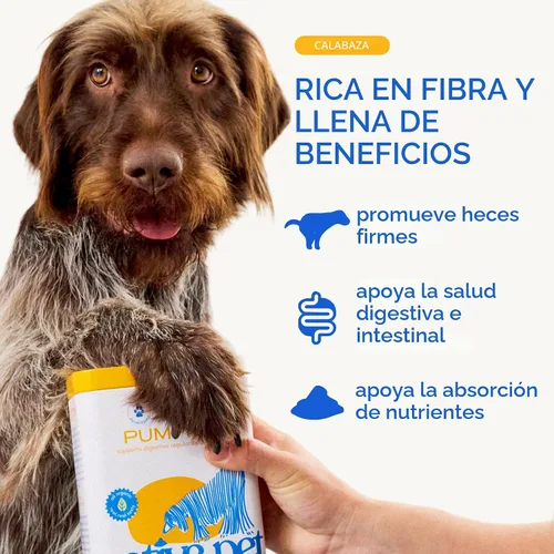 Vista 2 de Native Pet Calabaza para perros – Polvo orgánico de puré de calabaza para perros – Rico en fibra Suplemento en polvo ayuda con la digestión