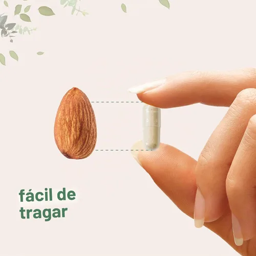 Vista 5 de Micro Ingredients Extracto de hongo melena de león con L-ergotioneína, 240 cápsulas vegetales, suministro para 4 meses Sin OMG