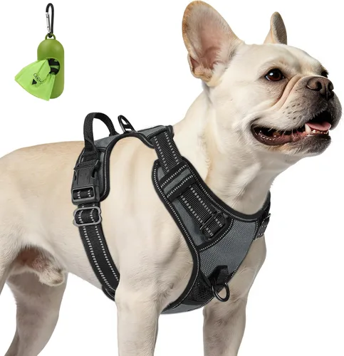 Vista 48 de Joytale Arnés sin tirones para perros pequeños, chaleco reflectante para mascotas con clip frontal, arnés acolchado suave ajustable con asa de fácil