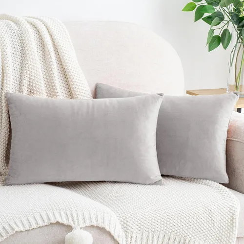 Vista 72 de HWY 50 fundas de almohada decorativas de terciopelo sólido para sofá, sala de estar., Terciopelo, gris, 20x20 pulgadas