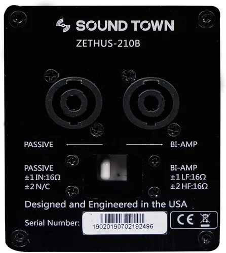 Vista 6 de Sound Town ZETHUS 4 x Sistema de altavoces de matriz de línea dual de 10” con controladores de compresión de titanio, rango
