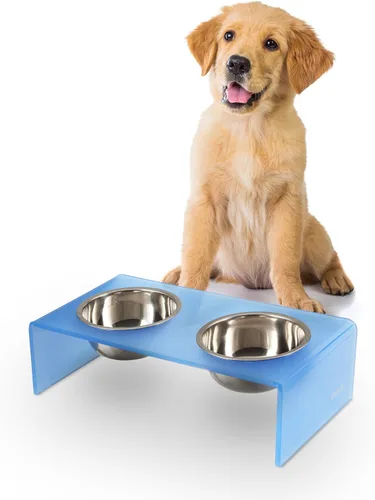 Vista 21 de DBL2000B Keaton - Comedero rectangular elevado moderno de lucita para mascotas de 5 pulgadas, tamaño pequeño/mediano, con 2 cuencos de acero