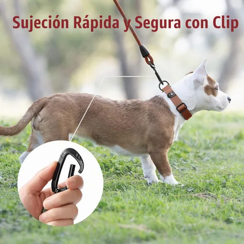 Vista 7 de Correa para perro de cuerda de PawsPassion de 6 pies, correa para perro resistente de 2 en 1 con hebilla de cinturón de seguridad, libre de enredos