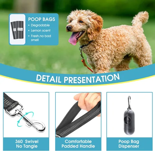 Vista 3 de BAAPET Correa de nailon para perro de 5 pies con triple hilos reflectantes y cómodo mango acolchado para caminar, entrenar cachorros pequeños Negro
