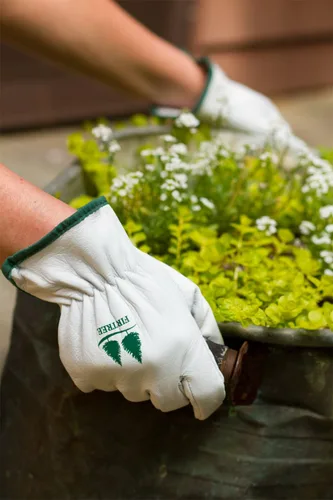 Vista 8 de FirTree Brand Goatskin Utility - Guantes de cuero para mujer y hombre para trabajo en el patio exterior, jardinería y paisajismo. Tabla de tallas