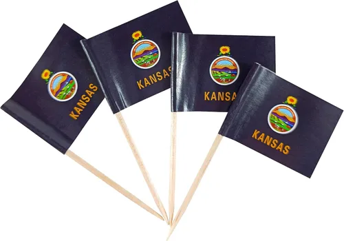 Vista 31 de QQSD Bandera de palillo de dientes de Alabama para decoración de cupcakes, 100