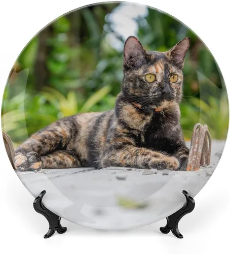 Vista 10 de Plato decorativo de animales silvestres de África para cocina, recuerdo de cerámica para colgar en la pared con soporte de exhibición, decoración