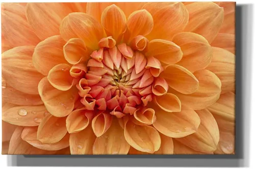 Vista 10 de Epic Graffiti 'Orange Dahlia' de Cora Niele, lienzo decorativo para pared, 18 x 12 pulgadas