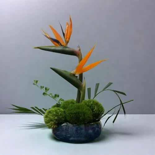 Vista 5 de Water Lotus - Juego de maceta de tazón de compota japonesa con rana floral de 1.8 pulgadas, ideal para Ikebana, arreglo floral y plantación Azul