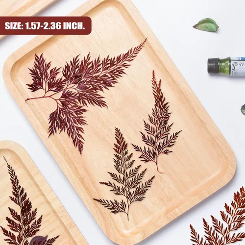 Vista 7 de ALJ Hojas de helechos secos, 42 hojas de helecho prensadas de color rojo natural, hojas prensadas para plantas reales para arte de resina