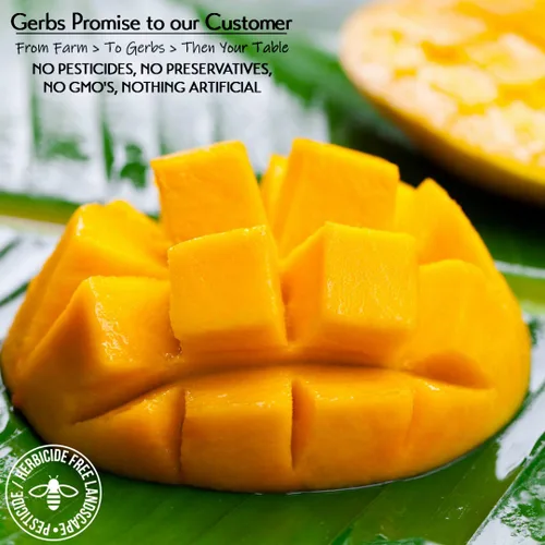 Vista 3 de Frutas secas GERBS, Top 14 libres de alergia alimentaria, sin sulfuro, sin conservantes, sin OMG, vegano Unsulfured, No Artificial Additives