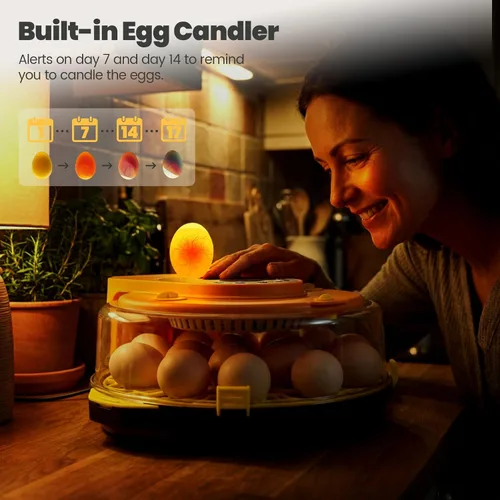 Vista 4 de Incubadoras para incubar huevos - Incubadora automática de pollitos de huevos de 15 huevos con 5 modos preestablecidos inteligentes y control