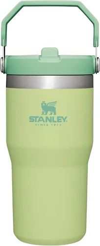 Vista 111 de STANLEY IceFlow 2.0 - Vaso con pajita, 14 onzas, color verde primavera