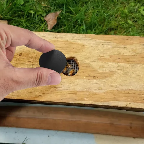 Vista 6 de Tapones de plástico para agujeros, 180 tapones de bloqueo de panel negro, tapas redondas para orificios de tornillo de taladro para gabinetes