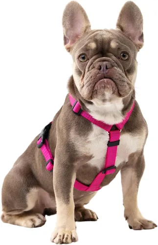 Vista 10 de Anatomically Correct - Arnés para perro en forma de Y, no restrictivo, sin tirones, ajustable de 6 puntos para movimiento natural, a prueba