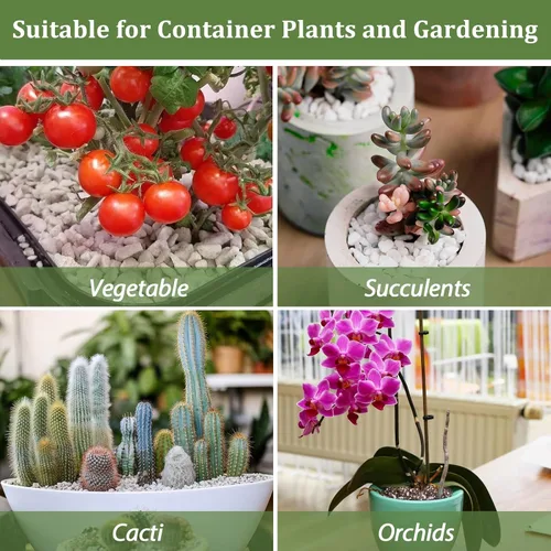 Vista 6 de Riare Perlita orgánica de 2 cuartos de galón para plantas, enmienda de suelo de perlita hortícola para plantas, mezcla de macetas, acondicionador