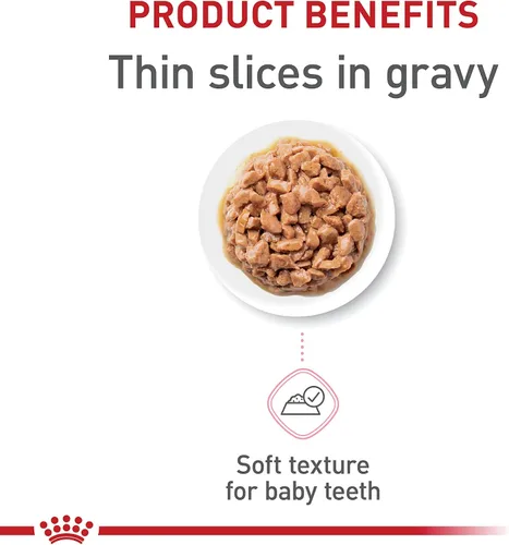Vista 2 de Comida enlatada para gatos, de Royal Canin, salud felina, nutrición instintiva de adultos, rebanadas delgadas en salsa, Paquete de 6