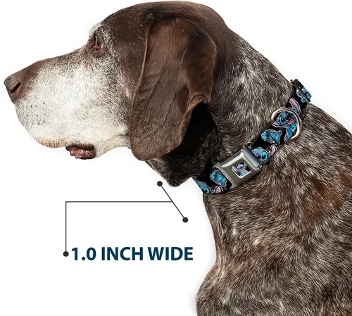 Vista 6 de Buckle-Down Collar de perro con hebilla de cinturón de seguridad, posturas de puntada/hibisco boceto negro/gris/azul, 1 pulgada de ancho, se adapta