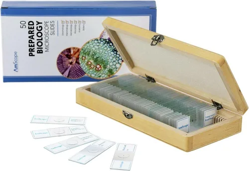 Vista 2 de Microscopio AmScope PS50 preparado portaobjetos de set para Biológica Básica Ciencia Educación, 50 Diapositivas, incluye carcasa ajustable de madera