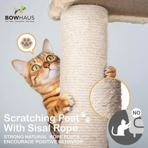 Vista 5 de BOWHAUS Árbol alto para gatos grandes o gatitos de interior, árbol de actividades para gatos de varios niveles con postes rascadores, hamaca
