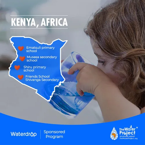 Vista 9 de Waterdrop Filtro K19RFFK, repuesto para sistema K19-SFK, vida útil de 12 Minerales alcalinos agregados, vida útil larga del filtro, reemplazo fácil