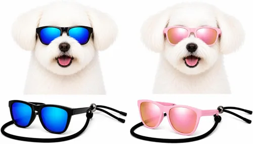 Vista 24 de G014 Retro 80s Pet Dog - Gafas de sol para perro, juguete de taza de té de raza pequeña y mediana (12-25 libras, blanco)