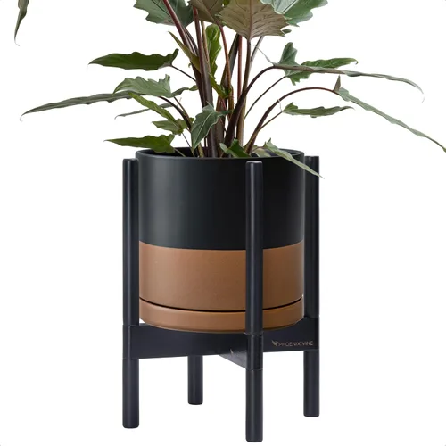 Vista 109 de D'vine Dev Maceta de cerámica con soporte de ébano – Maceta redonda moderna de 8 pulgadas con soporte para maceta de madera, color negro, 55-B-M-2