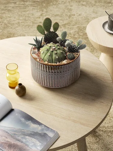Vista 3 de LE TAUCI Macetas para suculentas, macetas de cerámica de 6.5+8 pulgadas para plantas de interior, macetas redondas poco profundas para suculentas