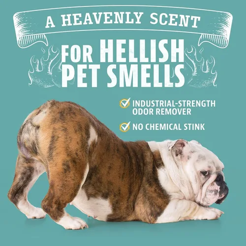 Vista 6 de ANGRY ORANGE Eliminador de olores de mascotas para orina de perros y gatos, manchas de alfombras y olores fuertes, limpiador de cítricos con aceite