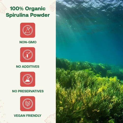 Vista 4 de Polvo de espirulina orgánica de 8 onzas, sin OMG, sin gluten, vegano, proteína a base de plantas, rica en hierro, espirulina en polvo para batidos