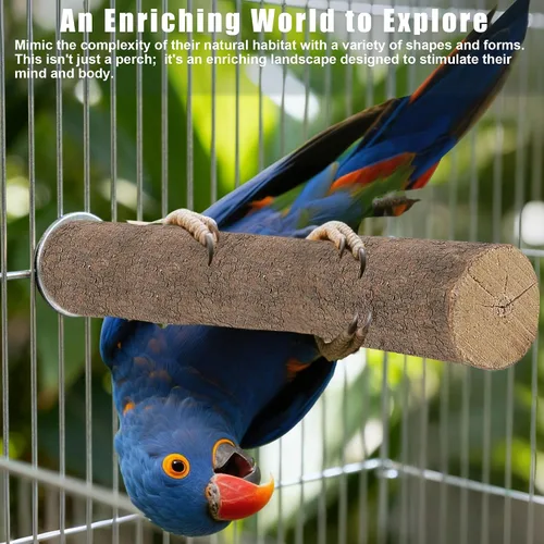 Vista 6 de Juego de 6 perchas para pájaros, perchas rectas y bifurcadas de madera de abedul natural con plataformas para periquitos, cacatúas, conures
