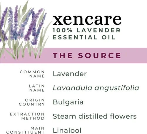 Vista 5 de Aceite esencial orgánico de lavanda USDA 100% puro y natural sin diluir Vegano sin OMG sin crueldad Aromaterapia prémium para baños difusores