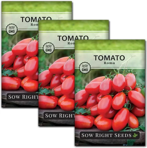 Vista 8 de Sembrar semillas adecuadas: semillas de tomate Roma para plantar variedad heredada determinada Popular non-GMO plum tomatoes for planting