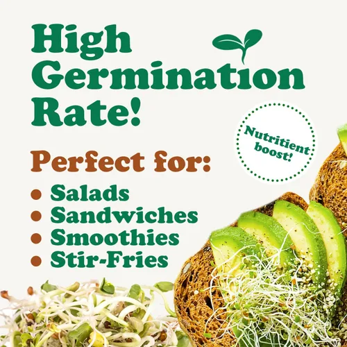 Vista 6 de Mezcla orgánica picante de semillas germinantes, 1.5 libras, brócoli sin OMG, rábano, alfalfa, crudo, tasa de germinación rica, no irradiada, pura