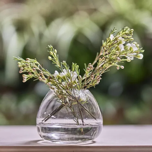 Vista 5 de CHIVE "George" - Jarrones de Botella de Cristal para Flores, juego de 6, pequeños y elegantes jarrones de cristal transparente para capullos