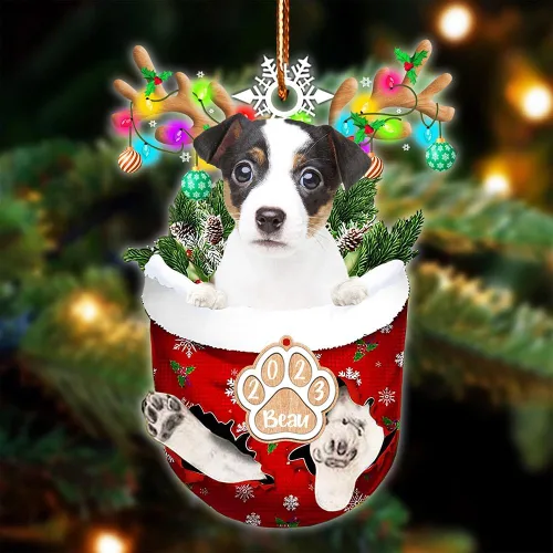 Vista 113 de NAZENTI Adorno Navideño de Bolsillo Personalizado de Affenpinscher en la Nieve, Adorno de Forma Acrílica de Perro, Adorno de Navidad 2023, Adorno