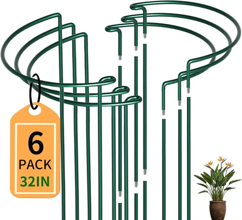 Vista 10 de TCBWFY Paquete de 10 estacas de soporte para plantas de jardín, 10 pulgadas de ancho, 16 de alta resistencia, entrelazadas, semicirculadas