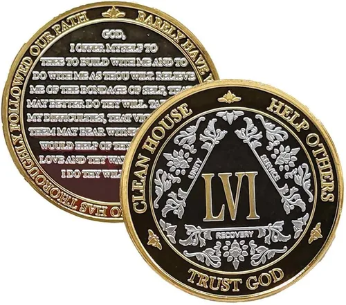 Vista 26 de Silver & Gold - Medallón de Alcohólicos Anónimos de 1 a 60 años (10 años (X)) Cápsula AA incluida