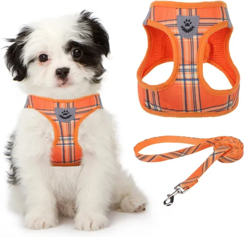 Vista 25 de Arnés de malla suave para cachorros – Juego de arnés y correa para perros pequeños, ajustable y cómodo chaleco reflectante acolchado para cachorros